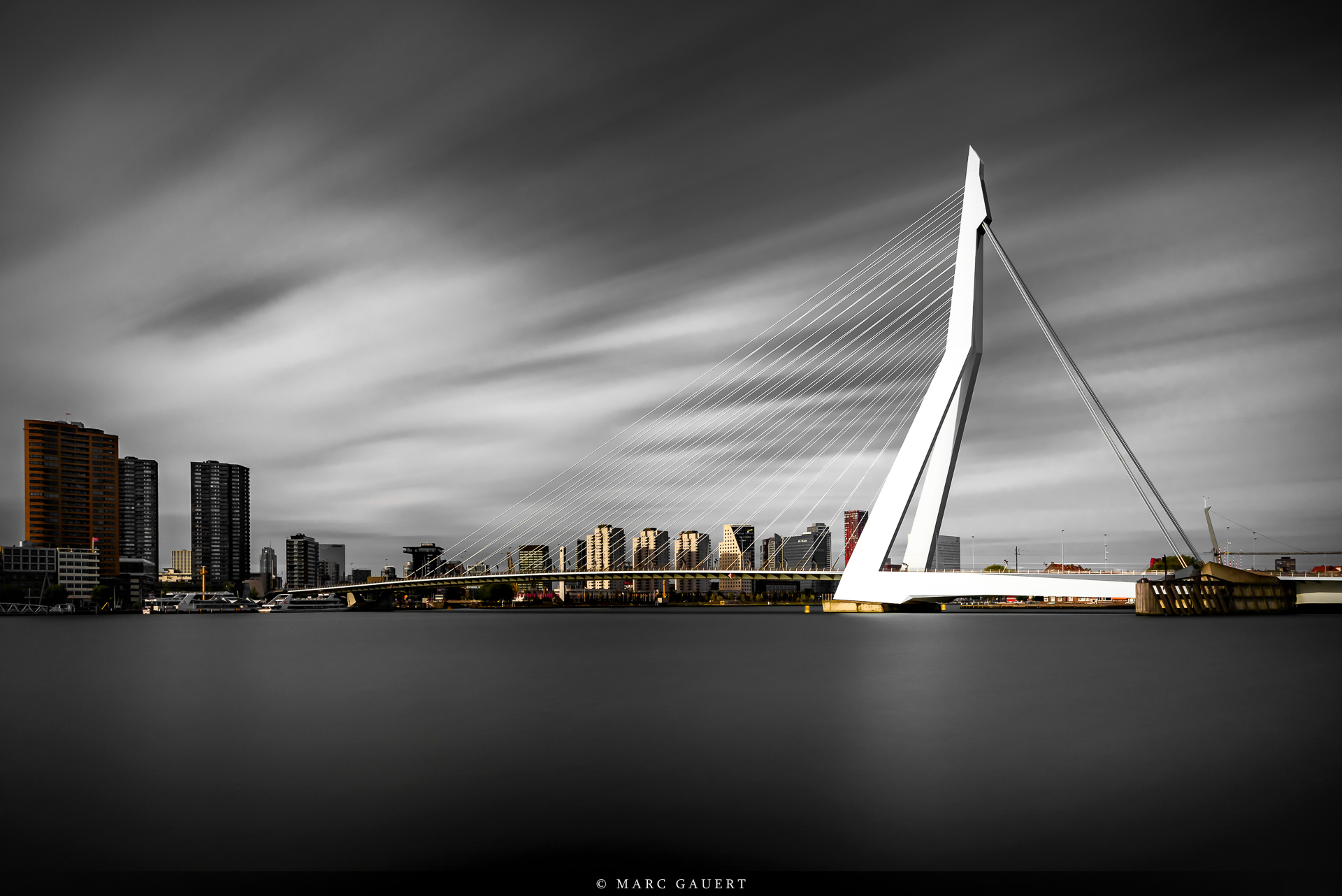 Erasmusbrug, Rotterdam