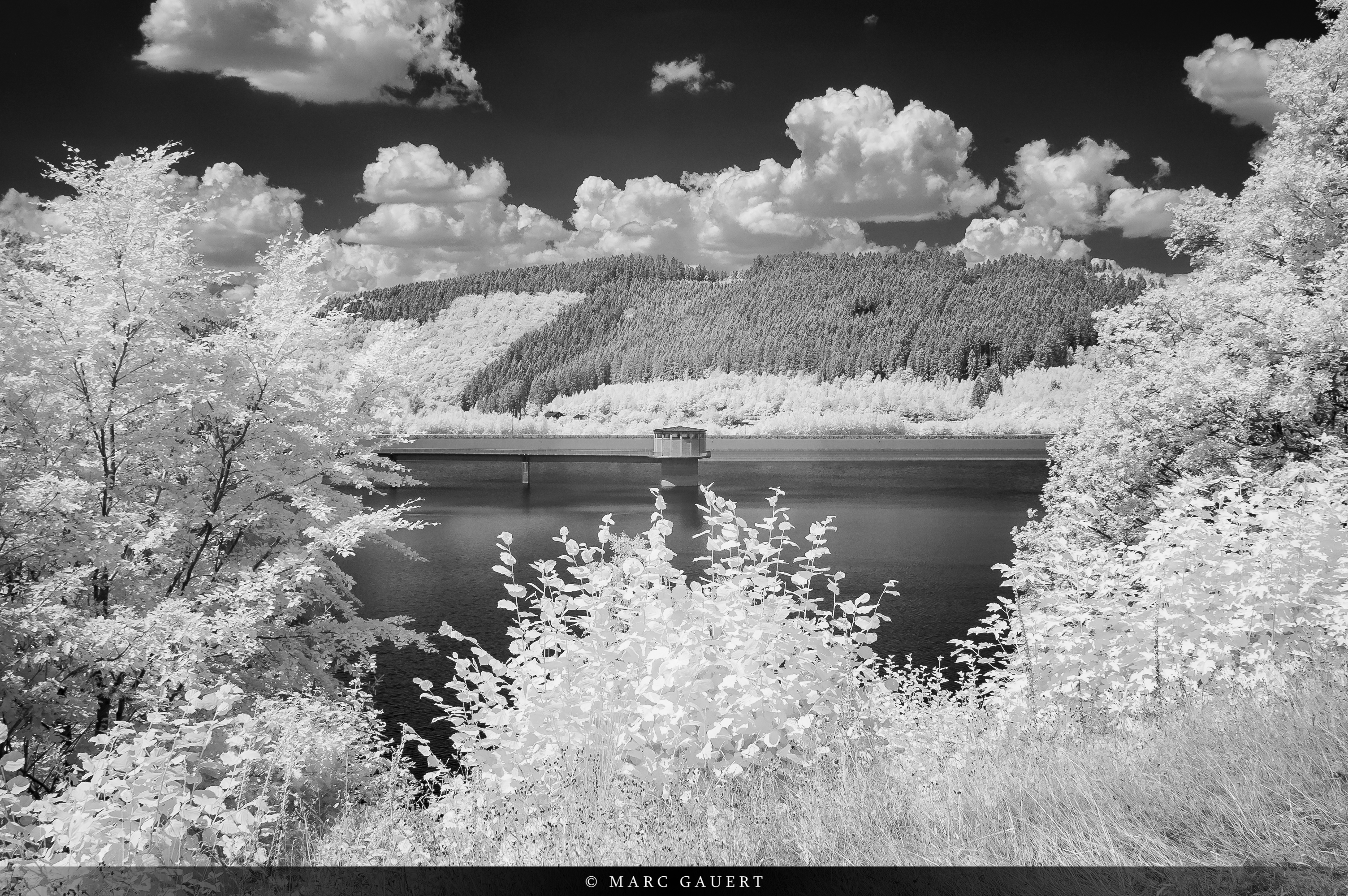 Schwarz-Weiß Infrarot der Obernautalsperre